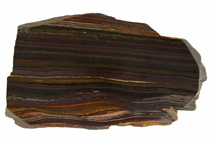 Polished Tiger Iron Stromatolite Slice - Billion Years #314324